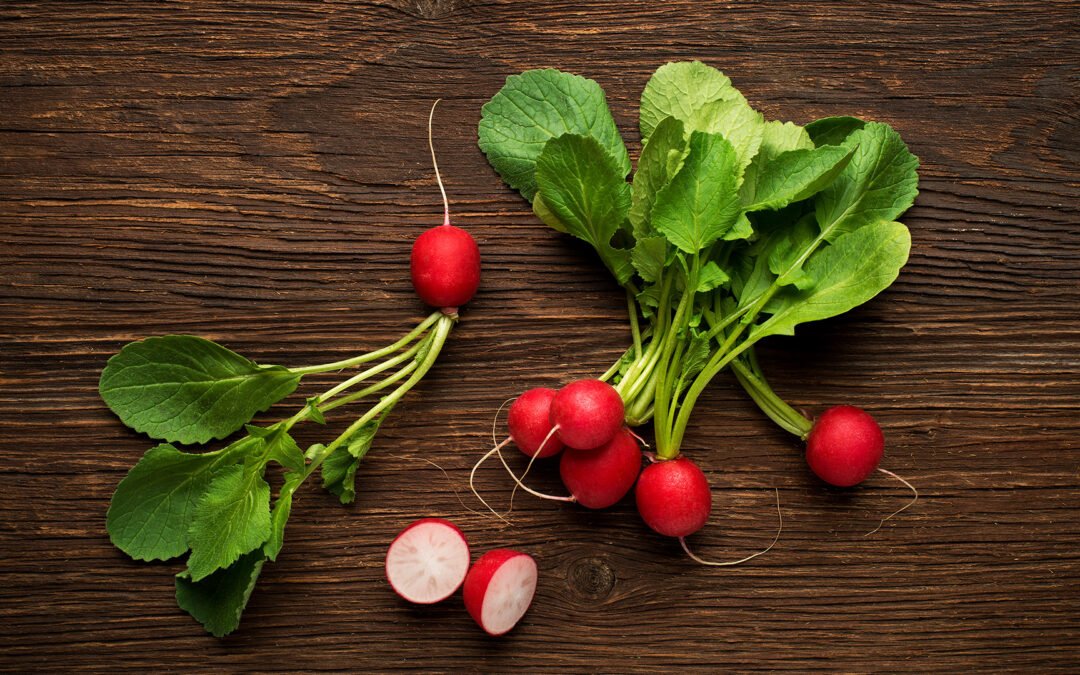 “Radieschen: rojos, redondos y fáciles de cultivar”