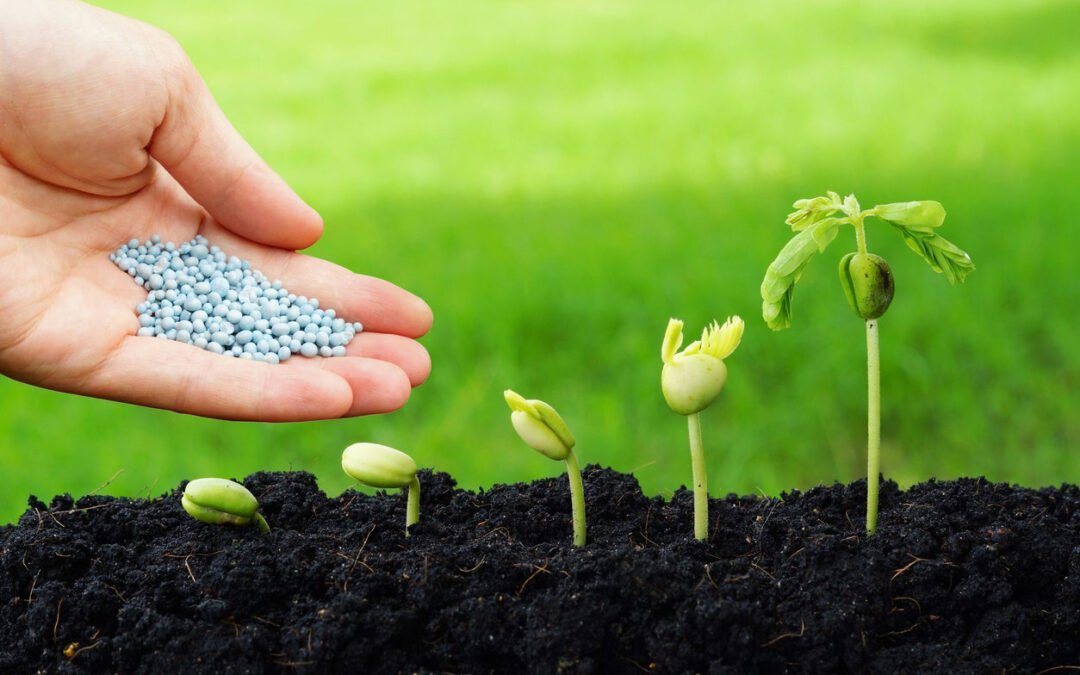 “Consejos de nuestra experta en fertilización según Feigenbaum: ¡Descúbrelos aquí!”