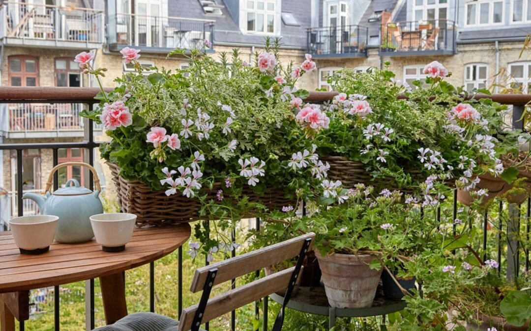 “Descubre por qué las plantas te hacen feliz: beneficios para tu bienestar”