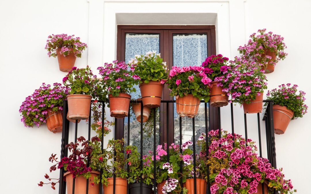 “4 flores encantadoras para balcones con orientación soleada y cómo cuidarlas”