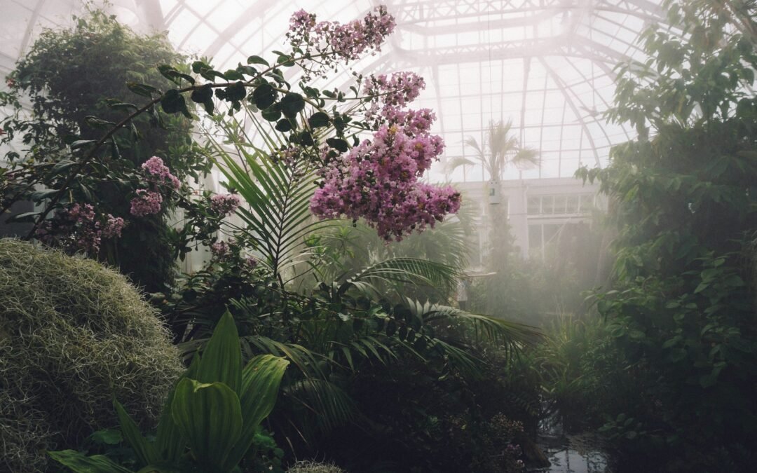 “Botanicly: Plantas que inspiran nuestra pasión”